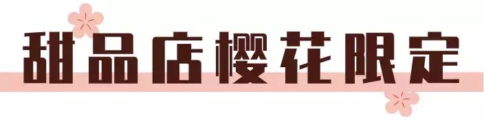 没时间去赏春,没时间去踏青