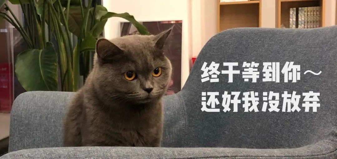 怎样从德国买二手农机车,怎么从德国进口农机