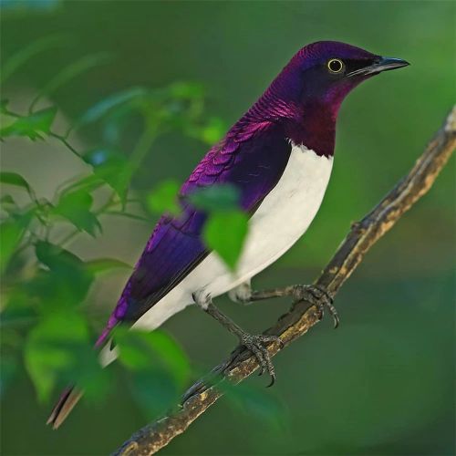 汉字七的大写数字,数字七汉字的正确写法