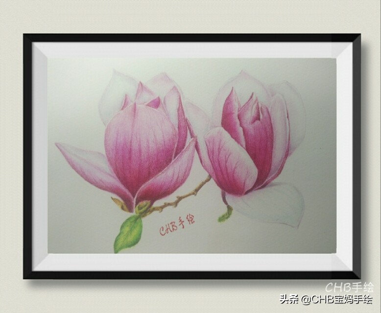 玉兰彩铅画教程图解,零基础彩铅画入门教程桃花