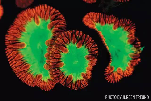 自由潜水怎么玩,潜水20个基本技巧