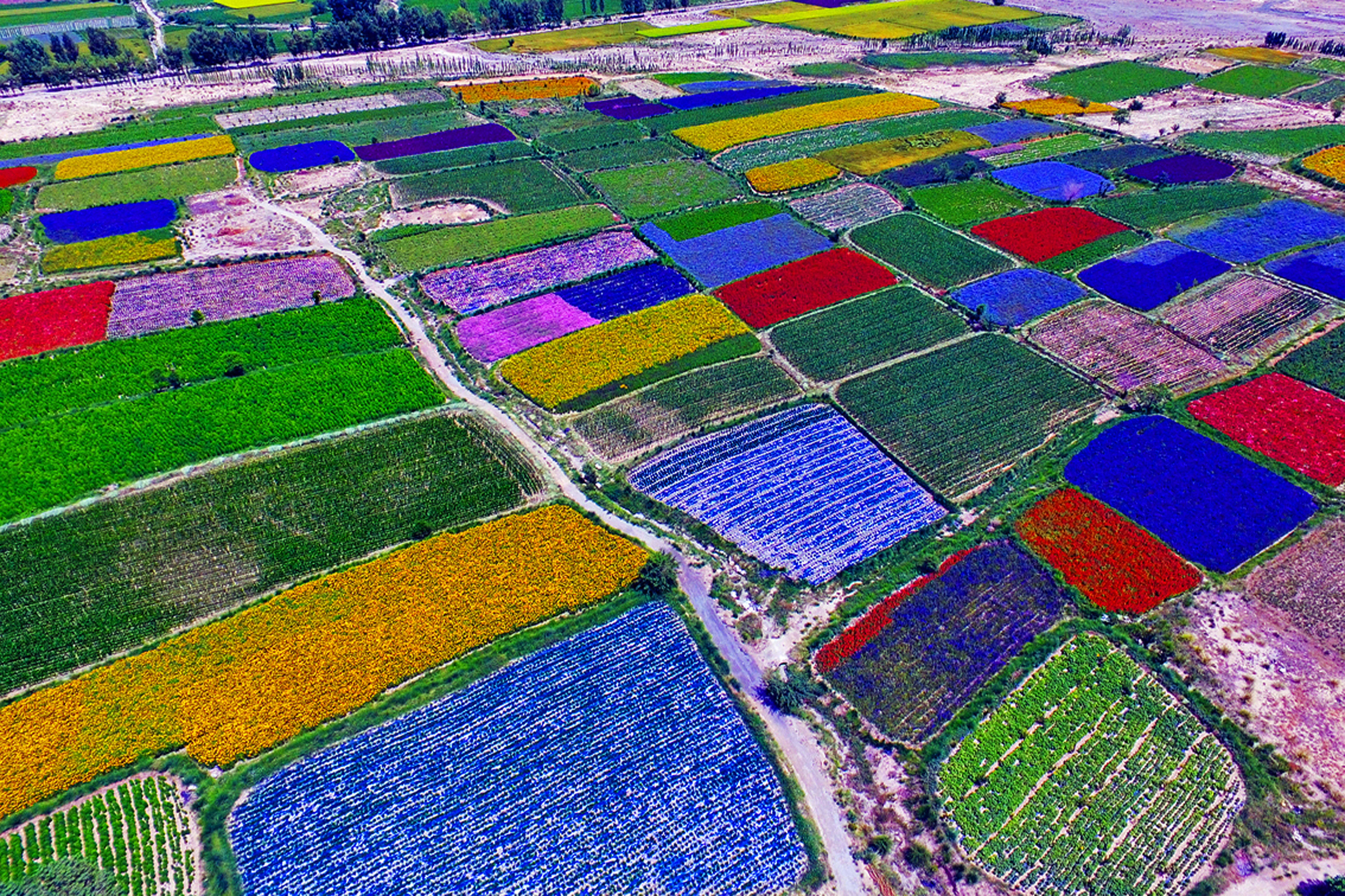 酒泉肃州区文旅融合,酒泉市破茧成蝶
