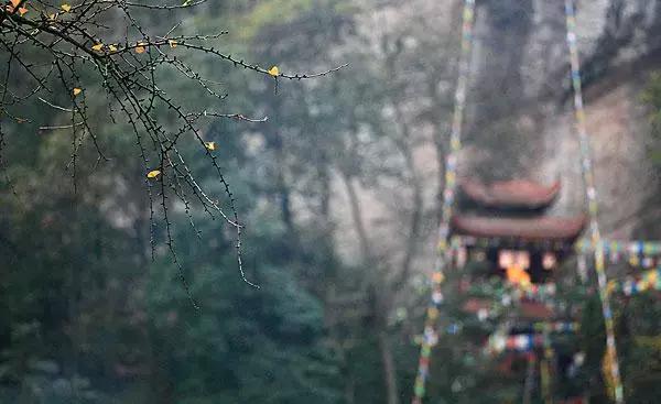 去庙里*拜参**到底能不能给佛像拍照？