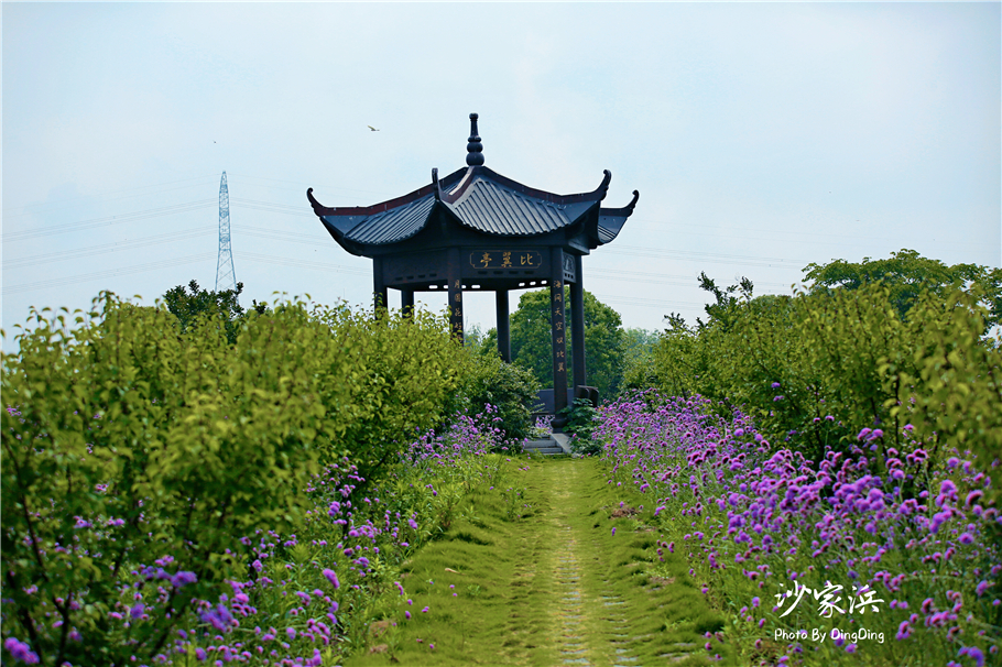苏州红色革命旅游景点图片,苏州红色革命景点介绍视频