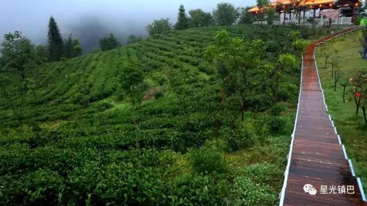 12岁辍学回农村种田,22岁小伙回陕西当农民