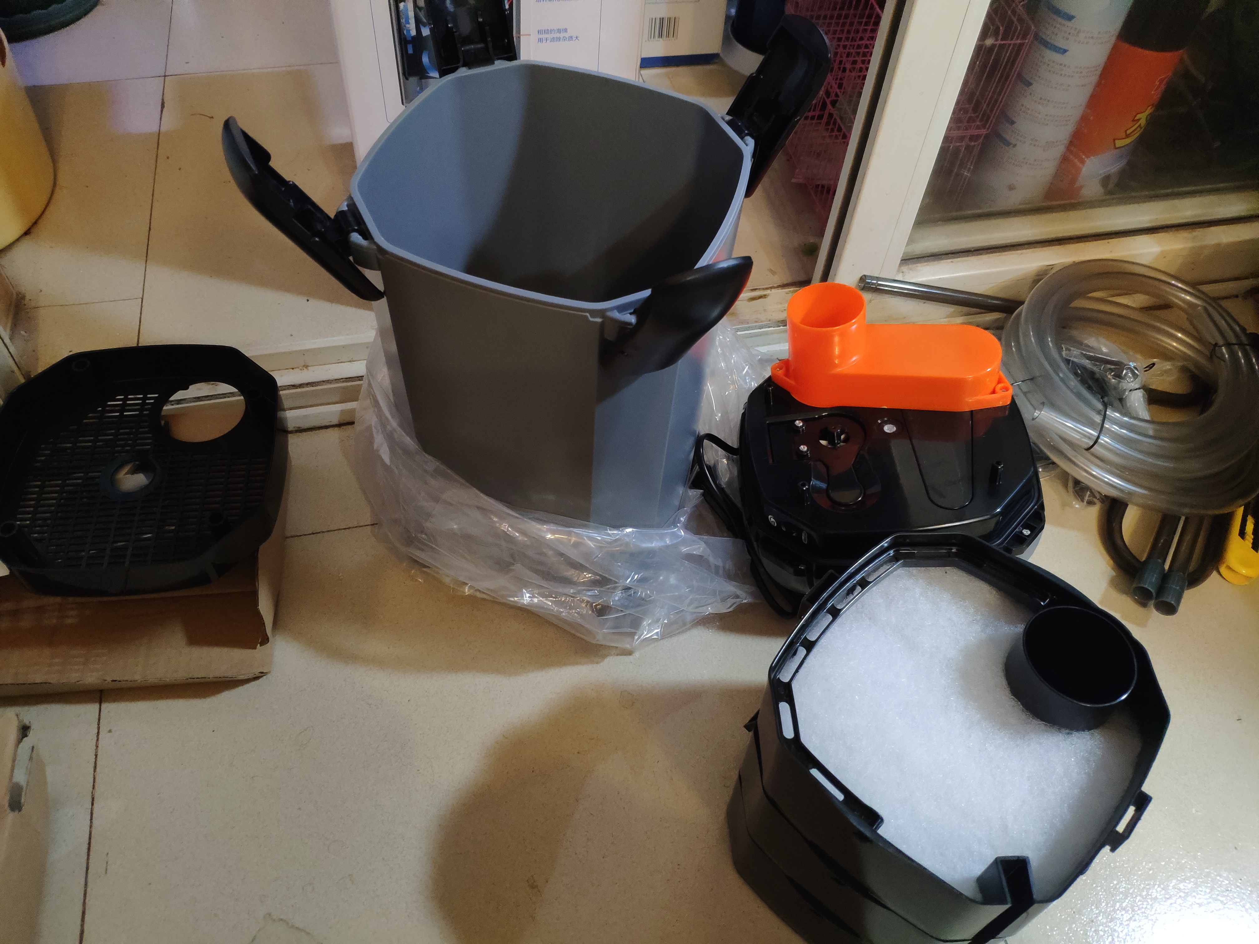 入坑草缸你准备好了吗,草缸入坑观赏鱼