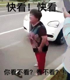 一集就入坑这部新剧看得太过瘾,全员欺骗全员说谎的电视剧