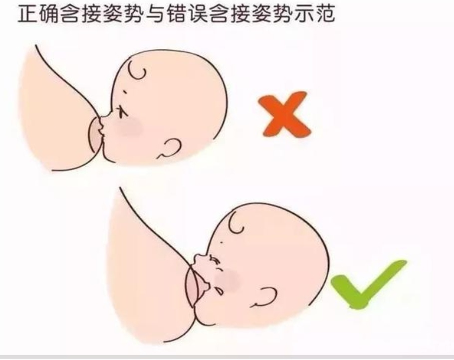新手妈妈的母乳喂养方法,新手妈妈母乳喂养的教程