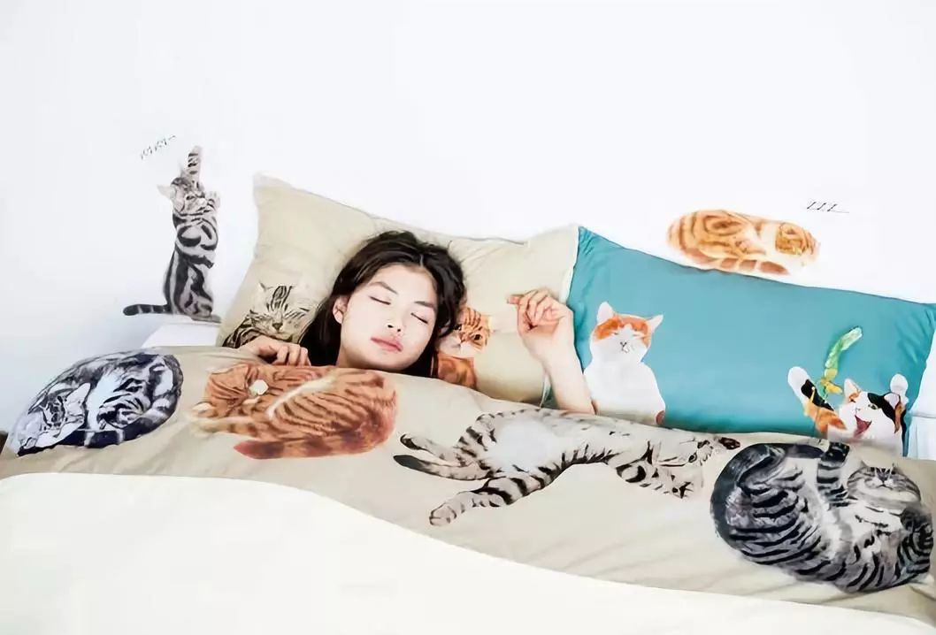 360度“云吸猫”?日本这家猫咪商店简直爱了