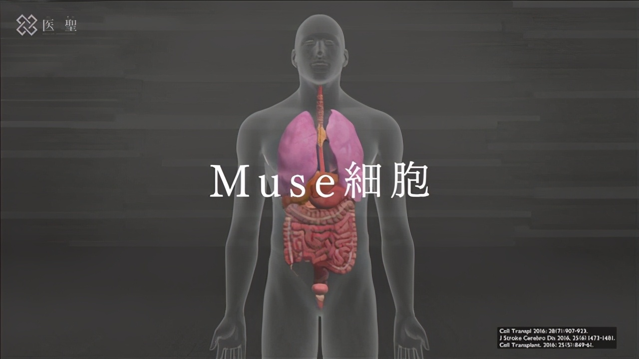 日本渐冻人症特效药 (渐冻人症细胞治疗)