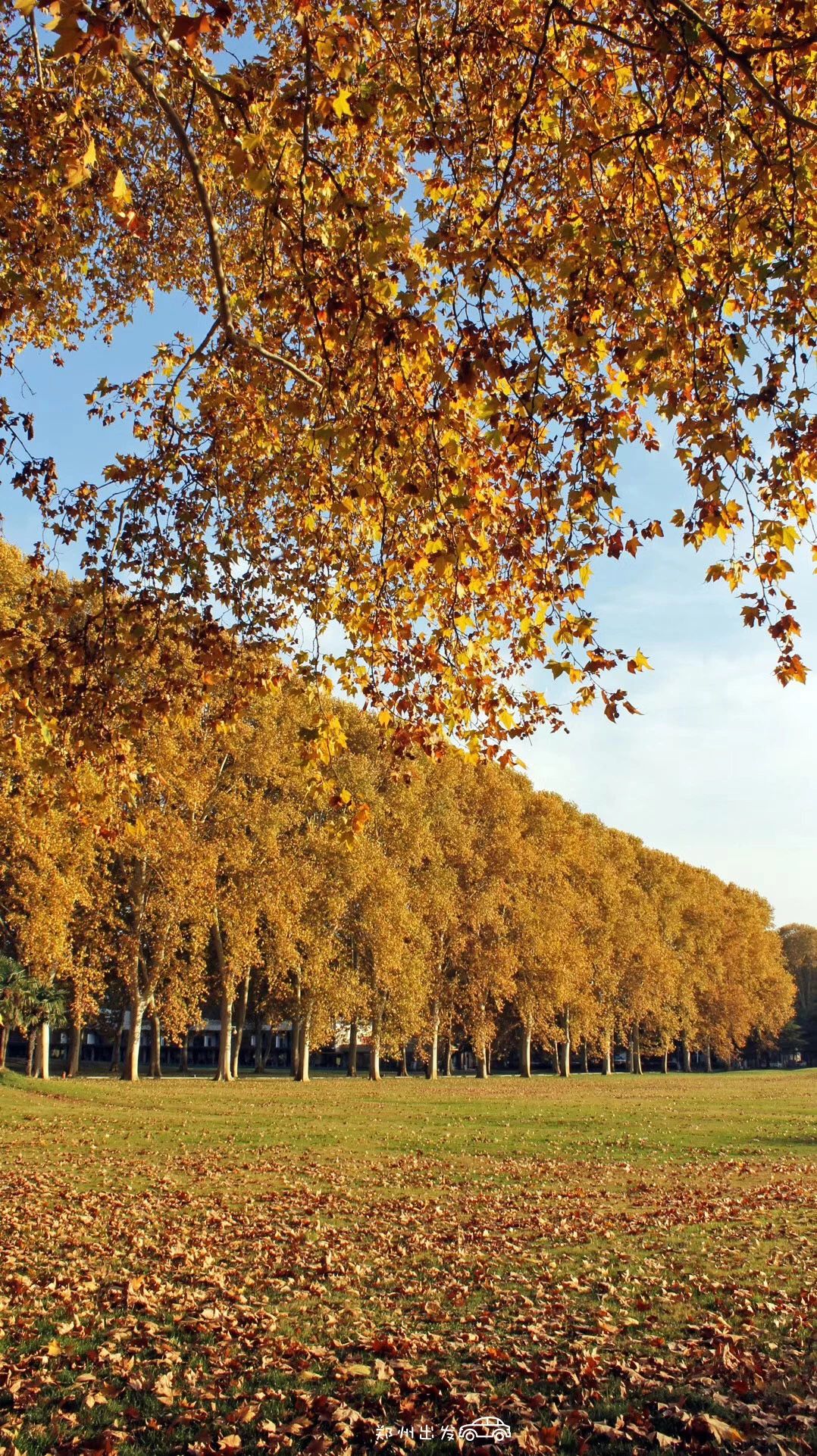 郑州漂亮的秋色风景,郑州的这些湖畔藏着最美的秋色