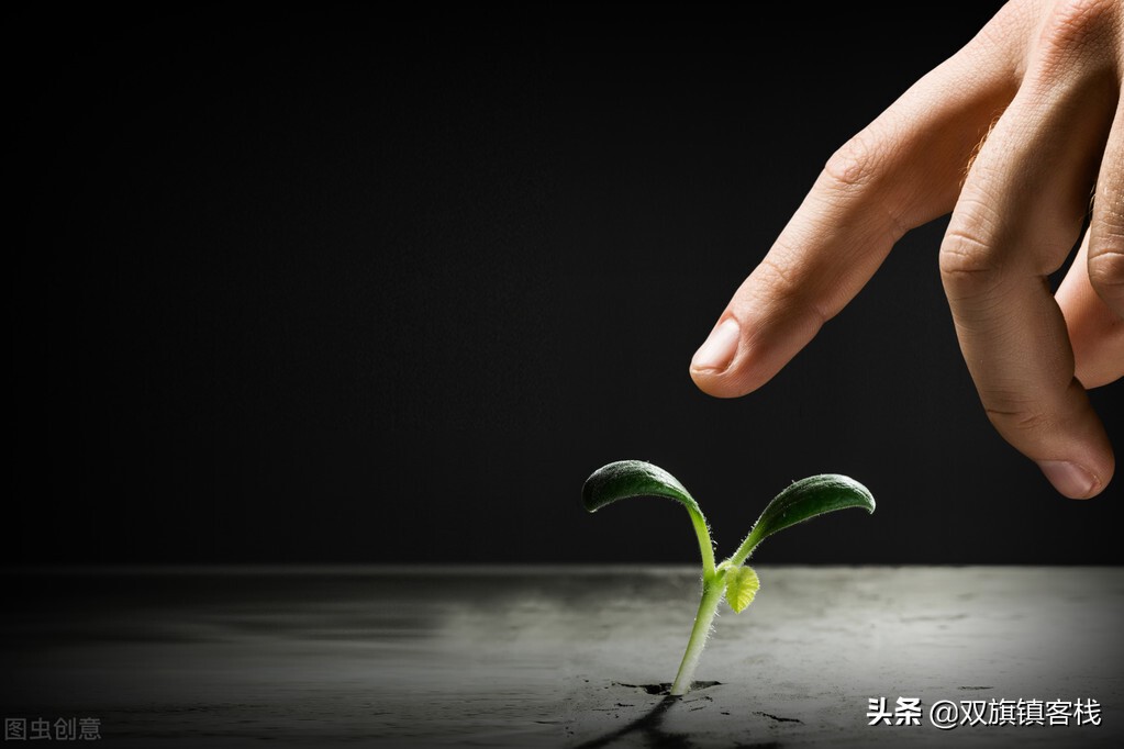 横店大神都在哪里看,横店大侠解答网友疑问