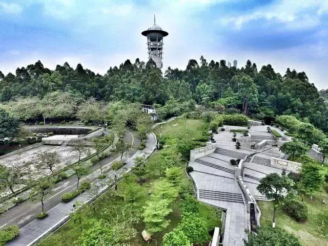 广东省内的大专院校排名表,广东省民办大专排行榜