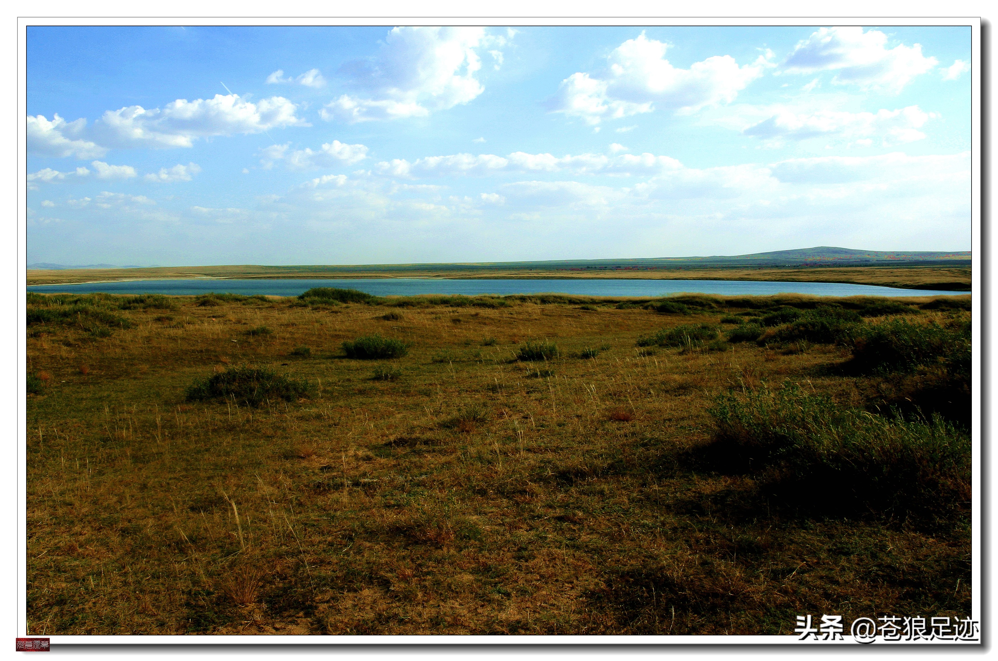 野阔牛羊同雁鹜——雄浑壮阔的贡格尔草原