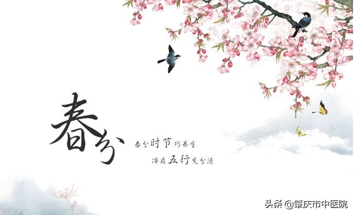 春季养肝护脾汤,春季健脾养肝你必须要煲的养生汤