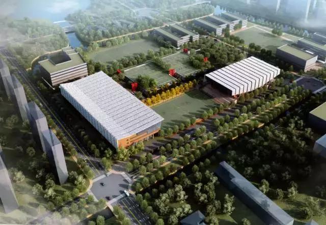 周浦体育中心开业情况,周浦体育中心建设花了多少钱