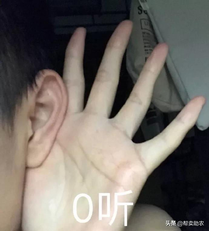 闀垮湪鏍戜笂鐨勭孩钖浮铔嬫灉,闀垮湪鏍戜笂鐨勯浮铔嬫灉