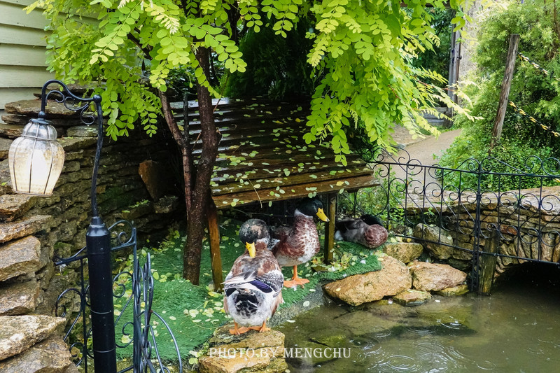 鐚ご楣板悏鍗滃姏骞绘兂,鏃ユ湰鐚挭绔ヨ瘽灏忛晣