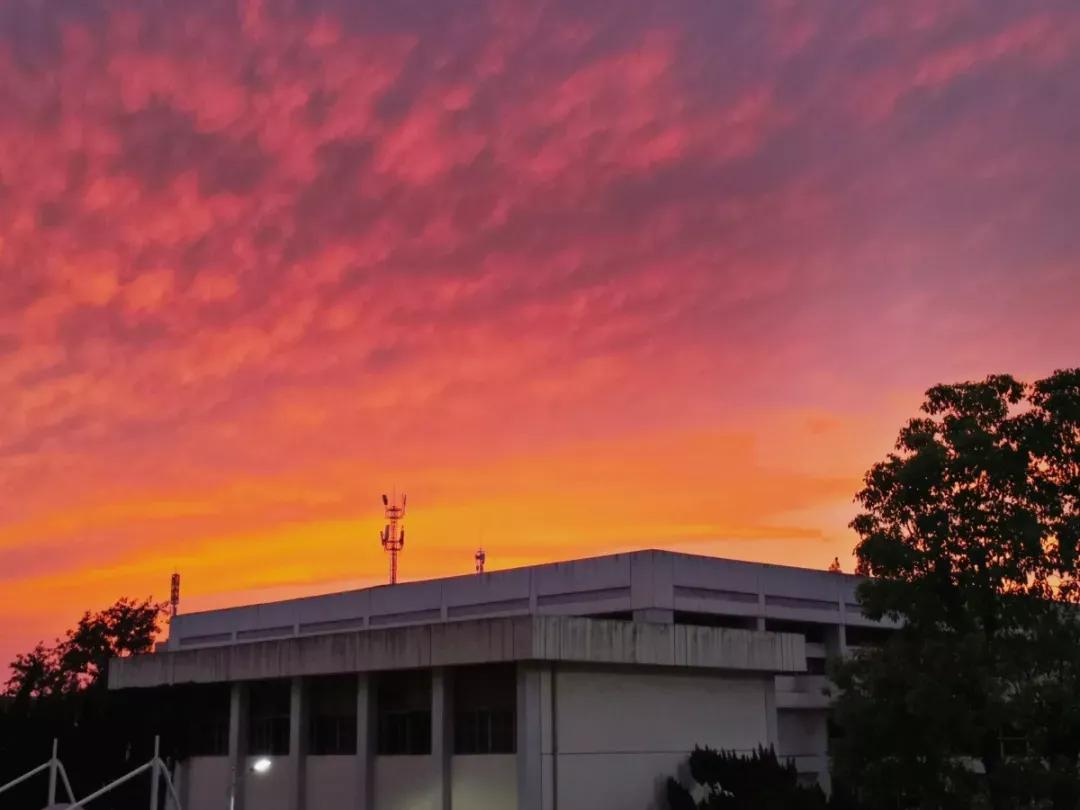 江苏省高校（九）扬州大学