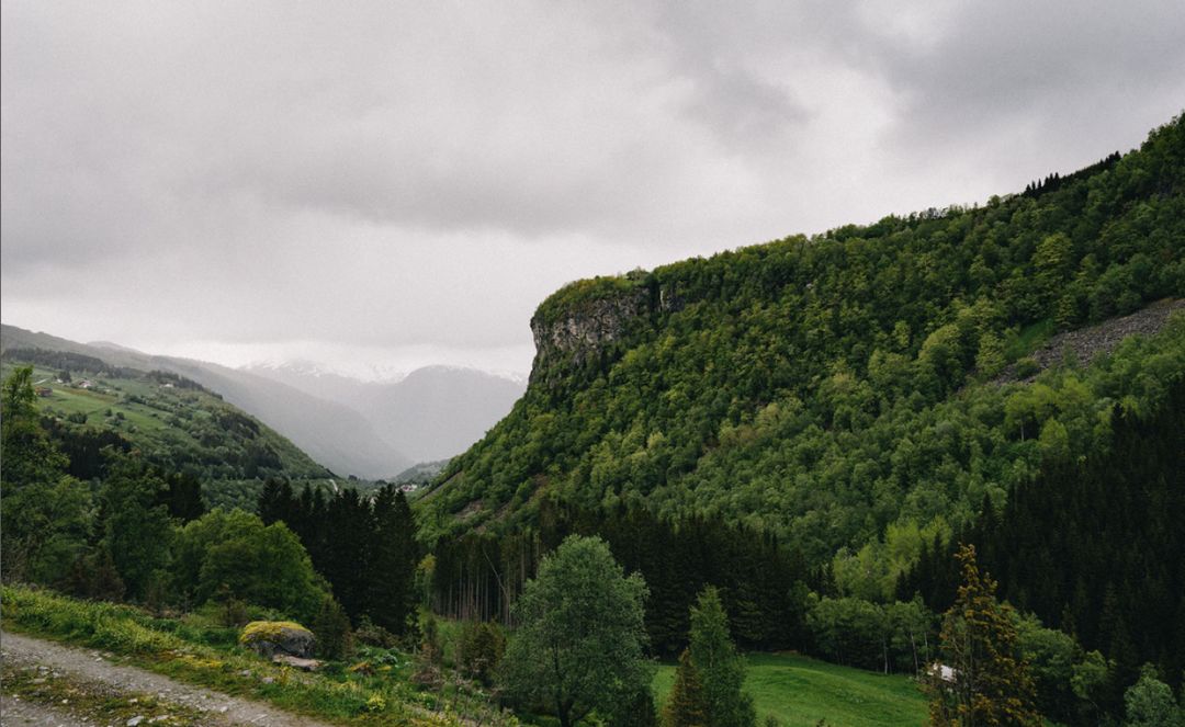 视觉中国为什么收黑洞照片版权,视觉中国黑洞版权事件