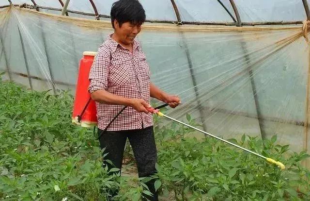 土方法泡药酒,土方法给黄酒灭菌