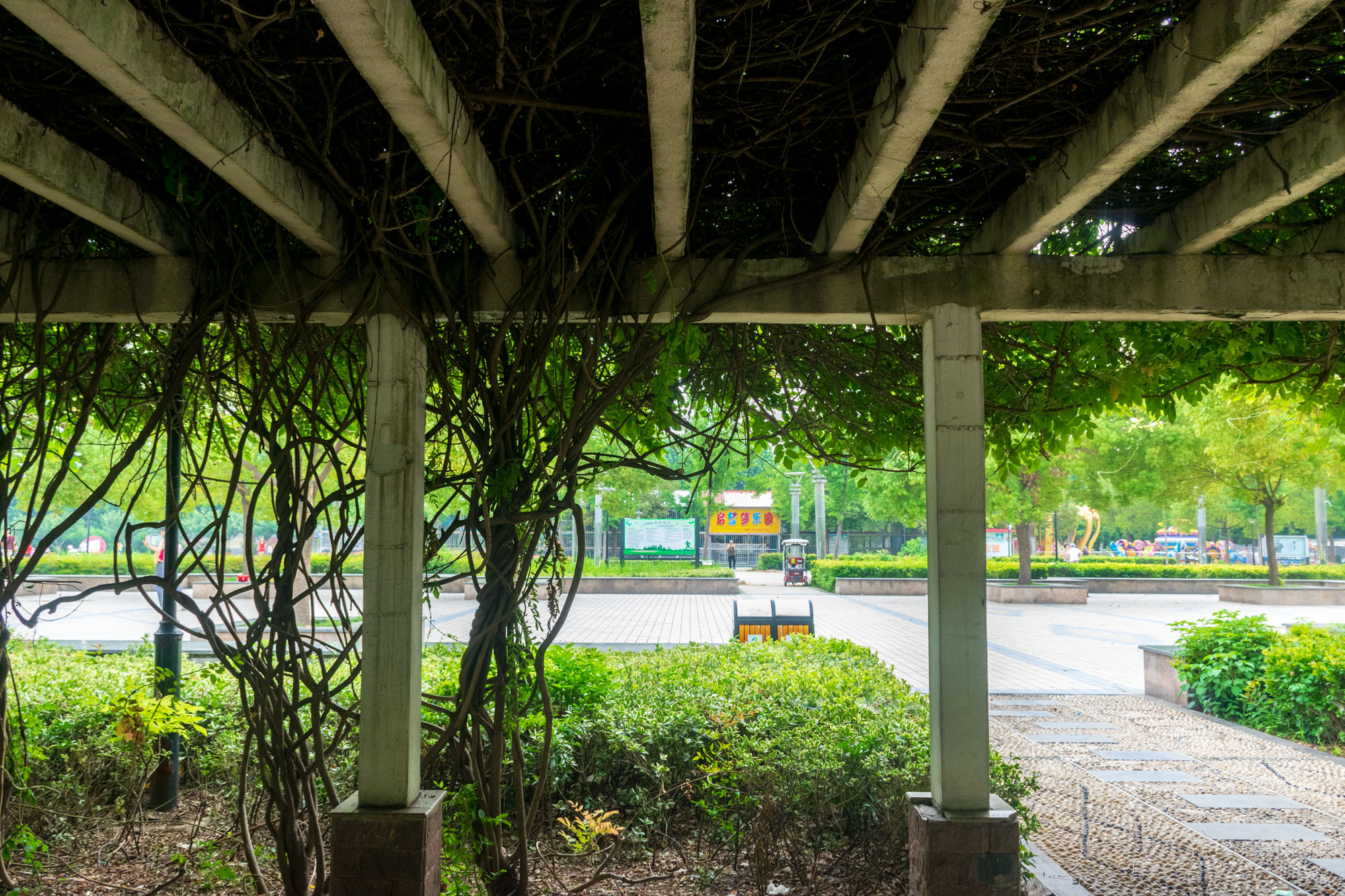 遂平县奥林匹克公园,遂平奥林匹克广场启智梦乐园