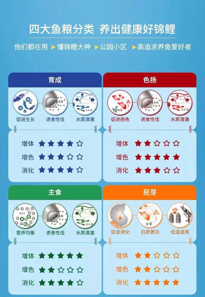 渔友张哥小视频,新鱼缸养锦鲤鱼正确的方法和技巧