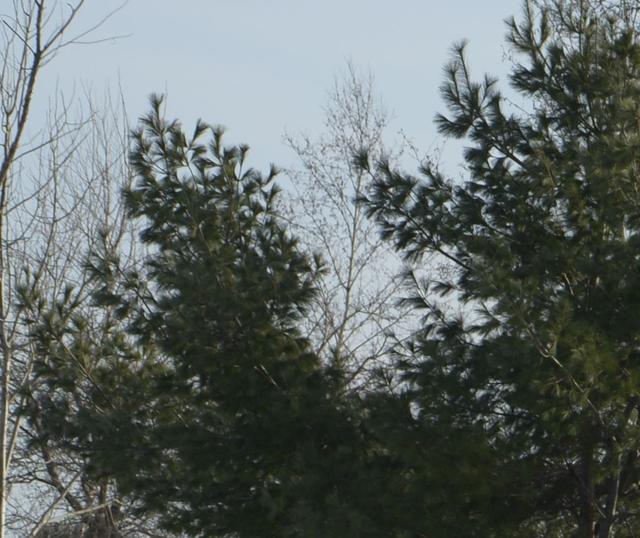 从适马105mmF1.4，来看中长焦人像大光圈镜头的设计挑战