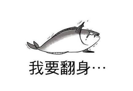 被官方认可的十大赚钱兼职,现在流行什么兼职赚钱