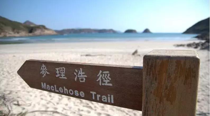 像彩色水果糖一样的香港,让人心动