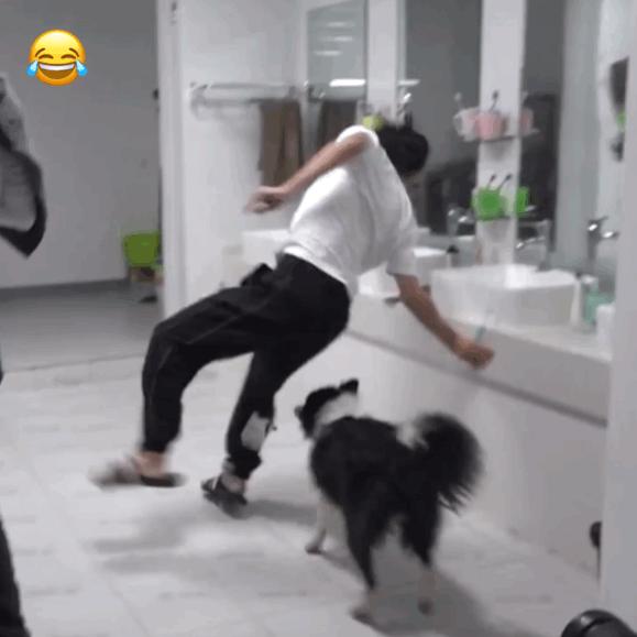 青3最新选手名单,肖战王一博丁禹兮三人头像