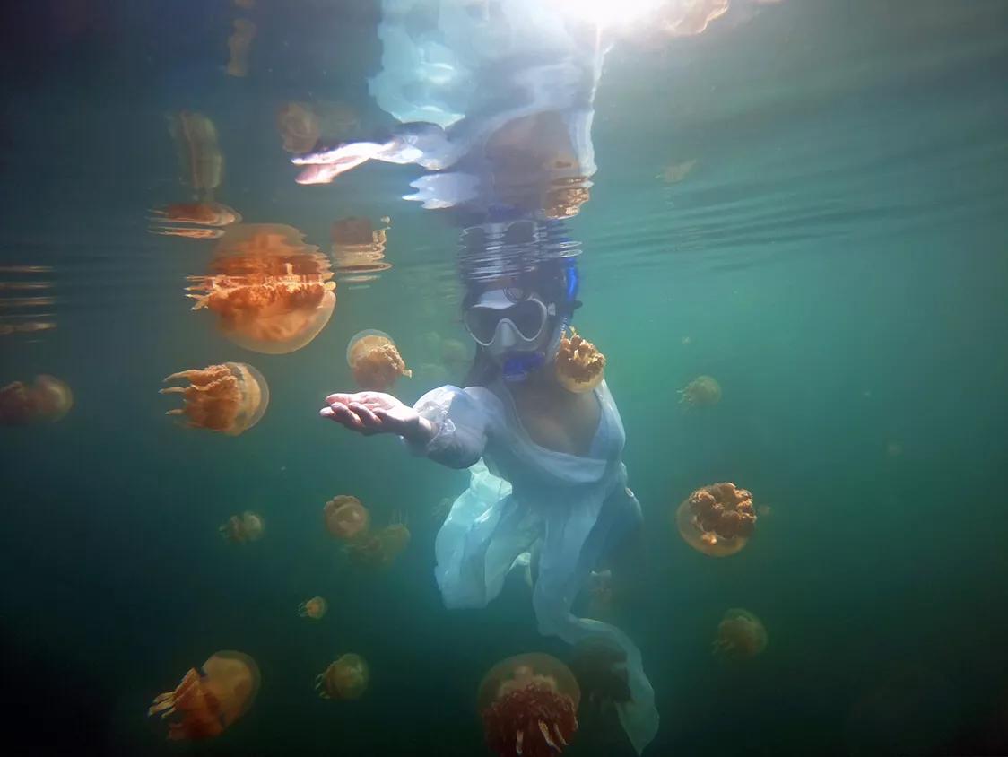 塞班岛和帕劳岛哪个好玩,马代帕劳最美的海岛