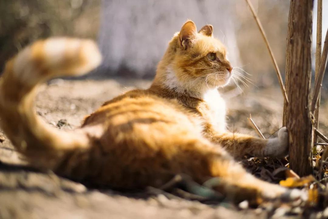 摄影入门参数,摄影技术参数及图片说明