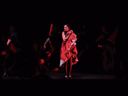 西班牙舞女成为印度王妃,西班牙舞女18岁成为印度王妃