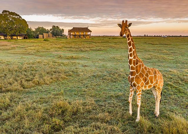 NAYPALAD鸟巢酒店——极致“野奢”体验