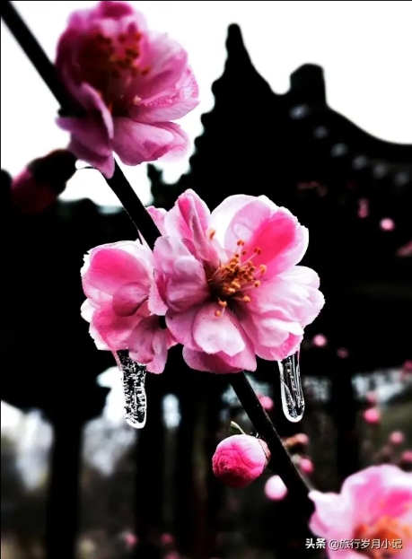 旧时代的榆次老城,榆次老城的老城简介