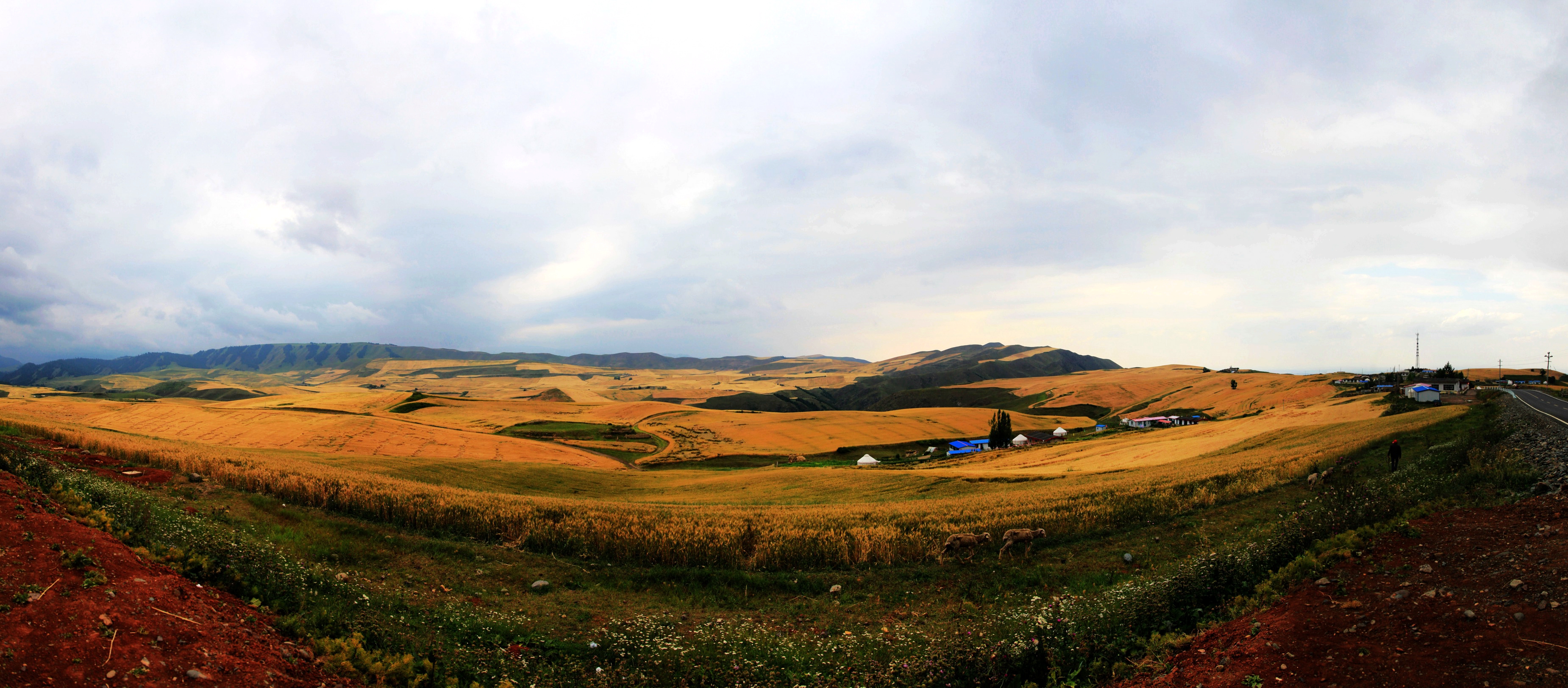 澶╁北楹︽捣,鏄熺┖涓嬬殑缁濈編绋荤敯姊甸珮