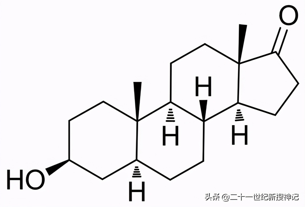 性命之谜（十三）气味：神仙？妖怪？是什么决定了香与臭？