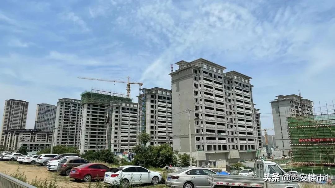 保利和中南哪个更好,南保利和北保利的区别