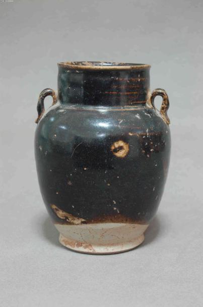 关于马桶发展史的书,马桶文化差异图片