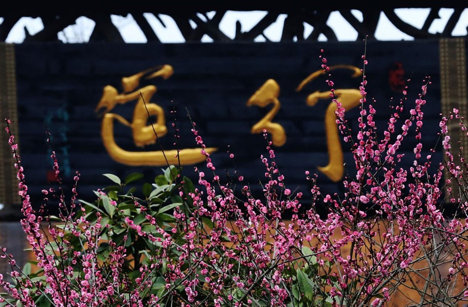 根博园根雕,根宫佛国根雕视频