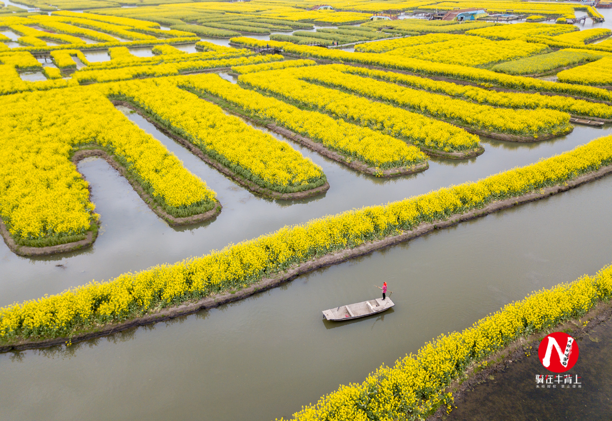 兴化三日游自驾游路线,去兴化看油菜花海攻略