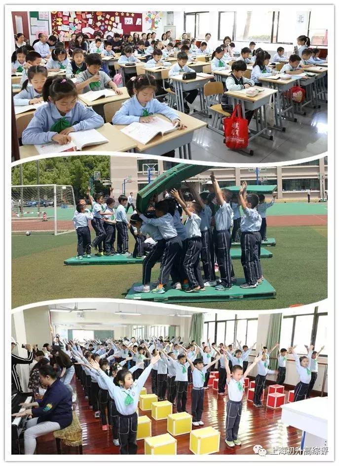 上海实验高中高考,上海实验学校2023高考战绩