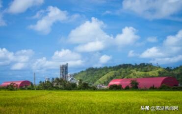 海螺中国500强企业排名,海螺进入500强