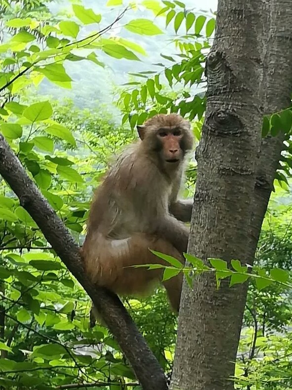 辉县市关山门票,辉县市关山村