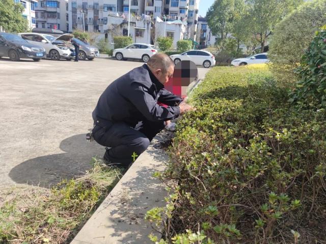 逃学9日,一招制服,还让他痛呼要读书!遇到逃学,家长这样做