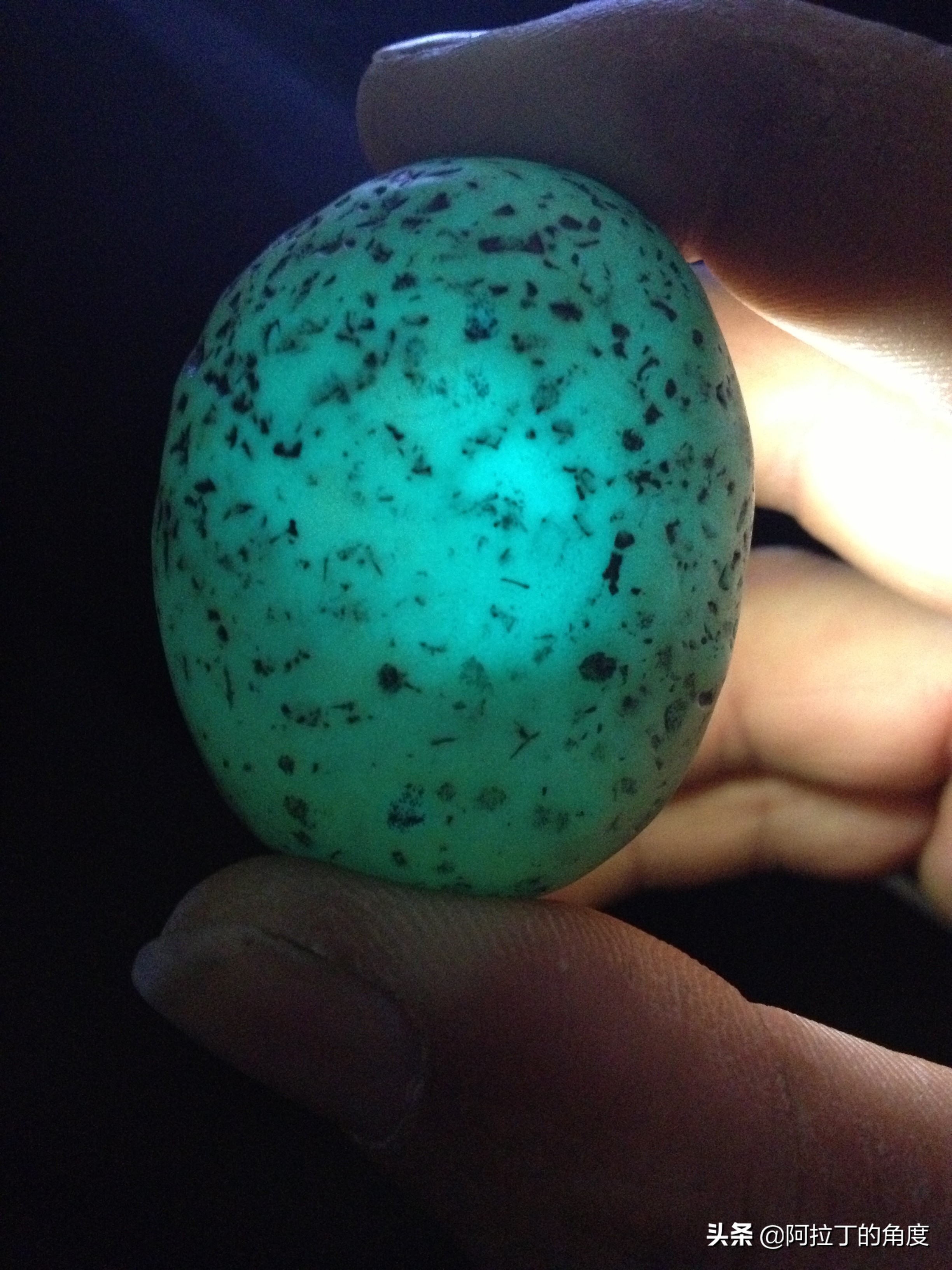 每天都有陨钻出现，别有用心的人不要再发布了，还石友一片净土