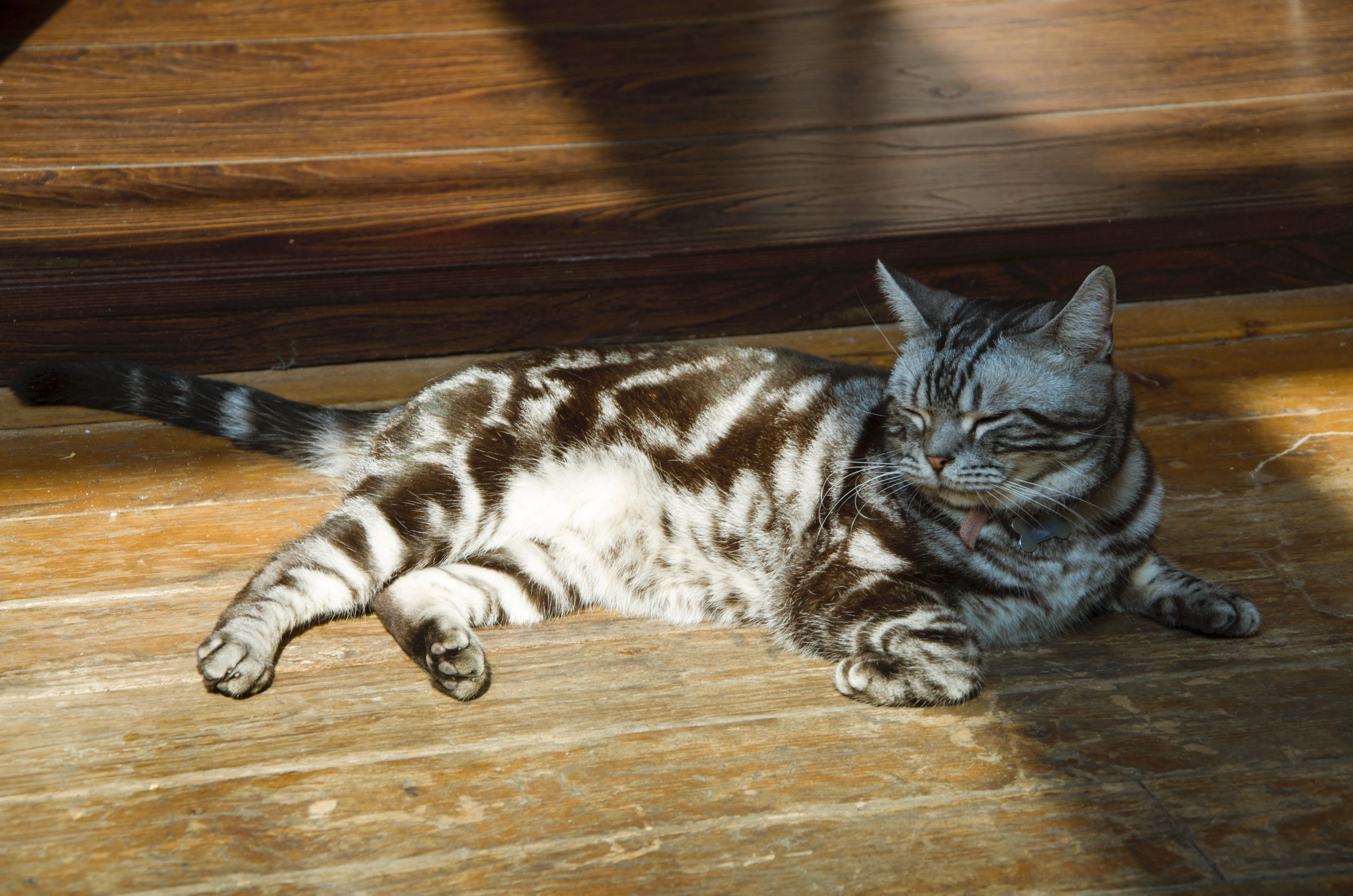 大隐于市的DeepRed深红别院，岁月静好