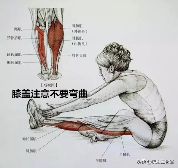 小腿肌胖怎么瘦腿,大腿肥胖小腿粗壮怎么改善