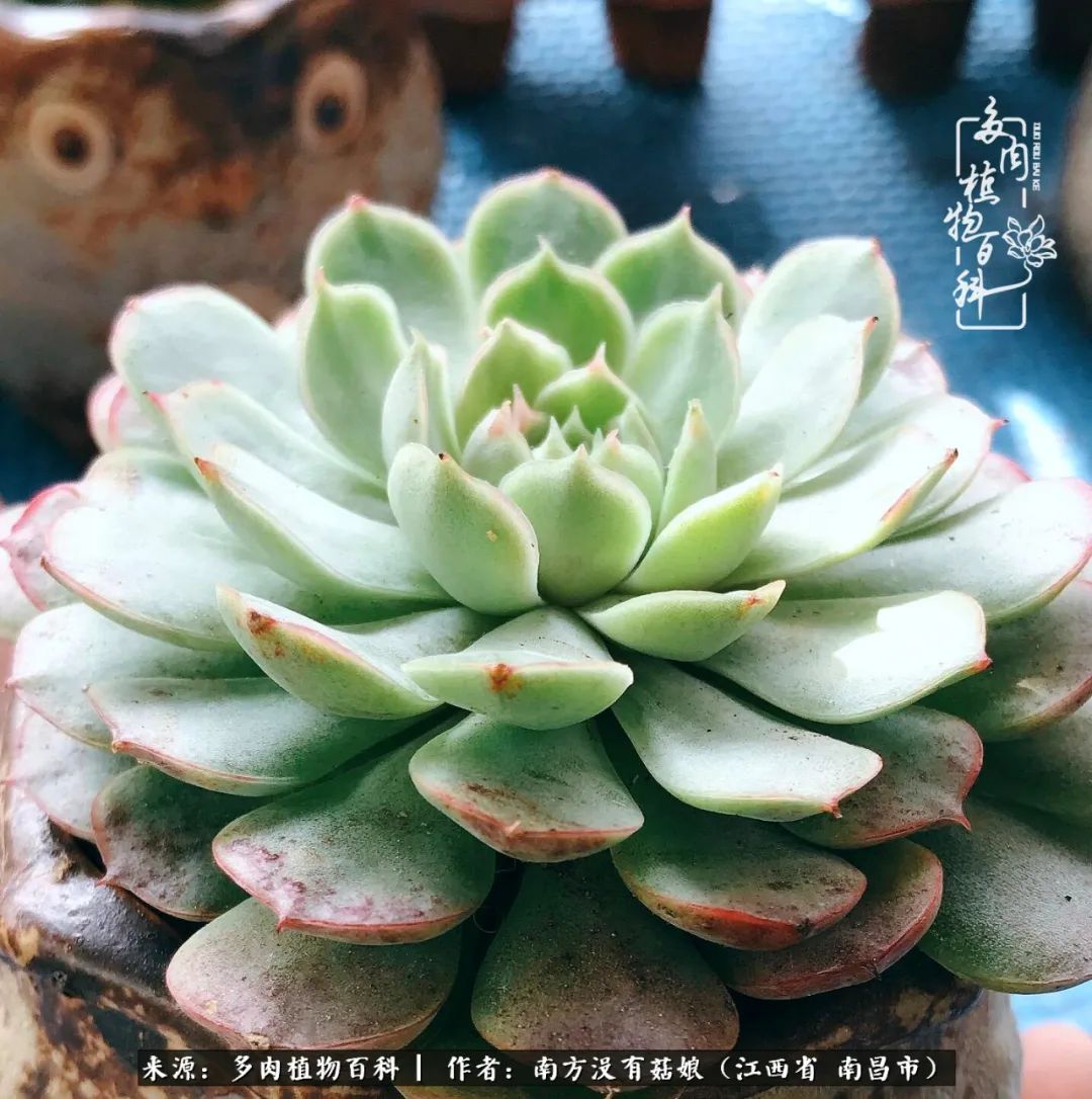 既见云胡不喜,既见君子云胡不喜毛笔楷书